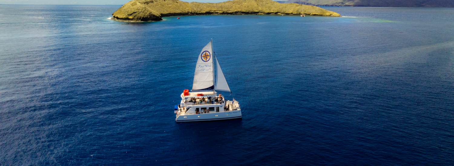 Molokini Maui Morning Snorkel