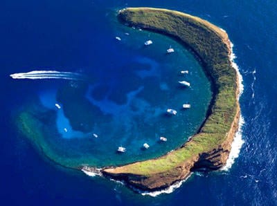 Snorkeling at Molokini Crater - Four Winds Maui Snorkeling