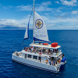 compare-maui-snorkel-new-vessel