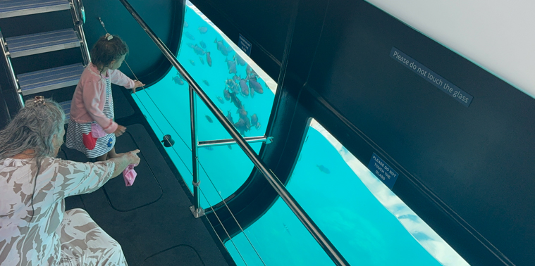 Glass Bottom Viewing Room